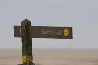 texel2018-76
